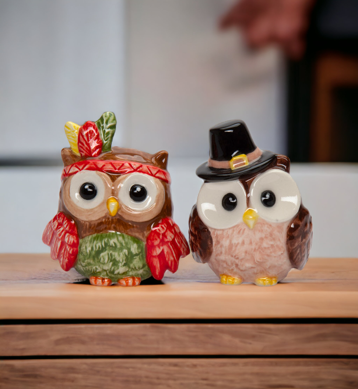 Ceramic Pilgrim And Indian Owl Salt And Pepper Shakers, Gift for Her, Gift for Mom, Kitchen Décor, Fall Décor, Thanksgiving Décor