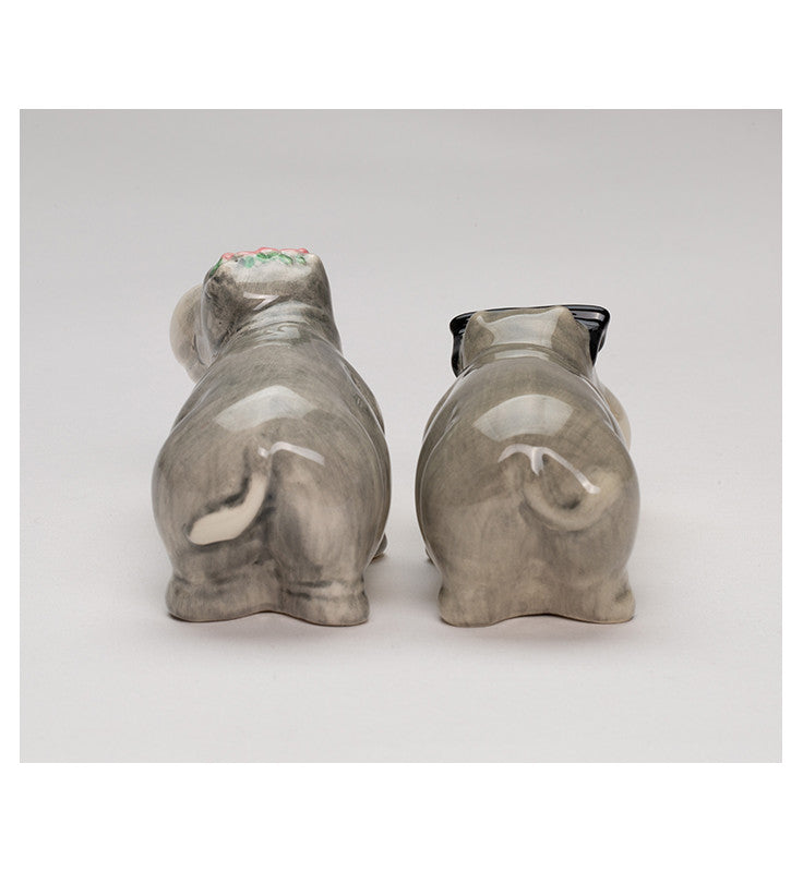 Ceramic Mini Hippos Salt and Pepper Shakers