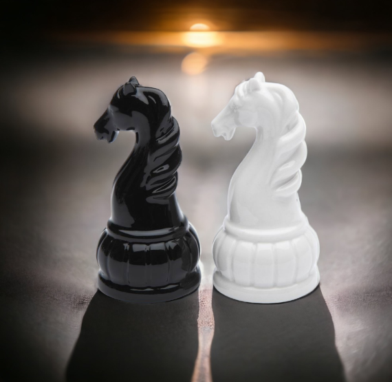 Ceramic Black and White Knight Chess Piece Salt and Pepper Shakers Home Décor Gift for Him Gift for Dad Kitchen Décor