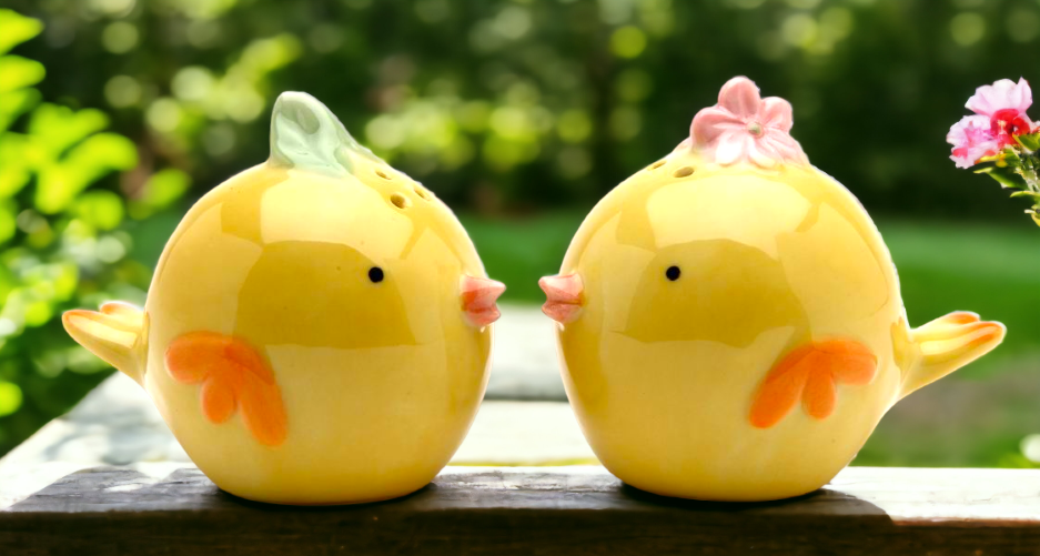 Ceramic Chicken Salt and Pepper Shakers Home Décor Gift for Her Mom Kitchen Décor Farmhouse Décor Nature Lover Gift