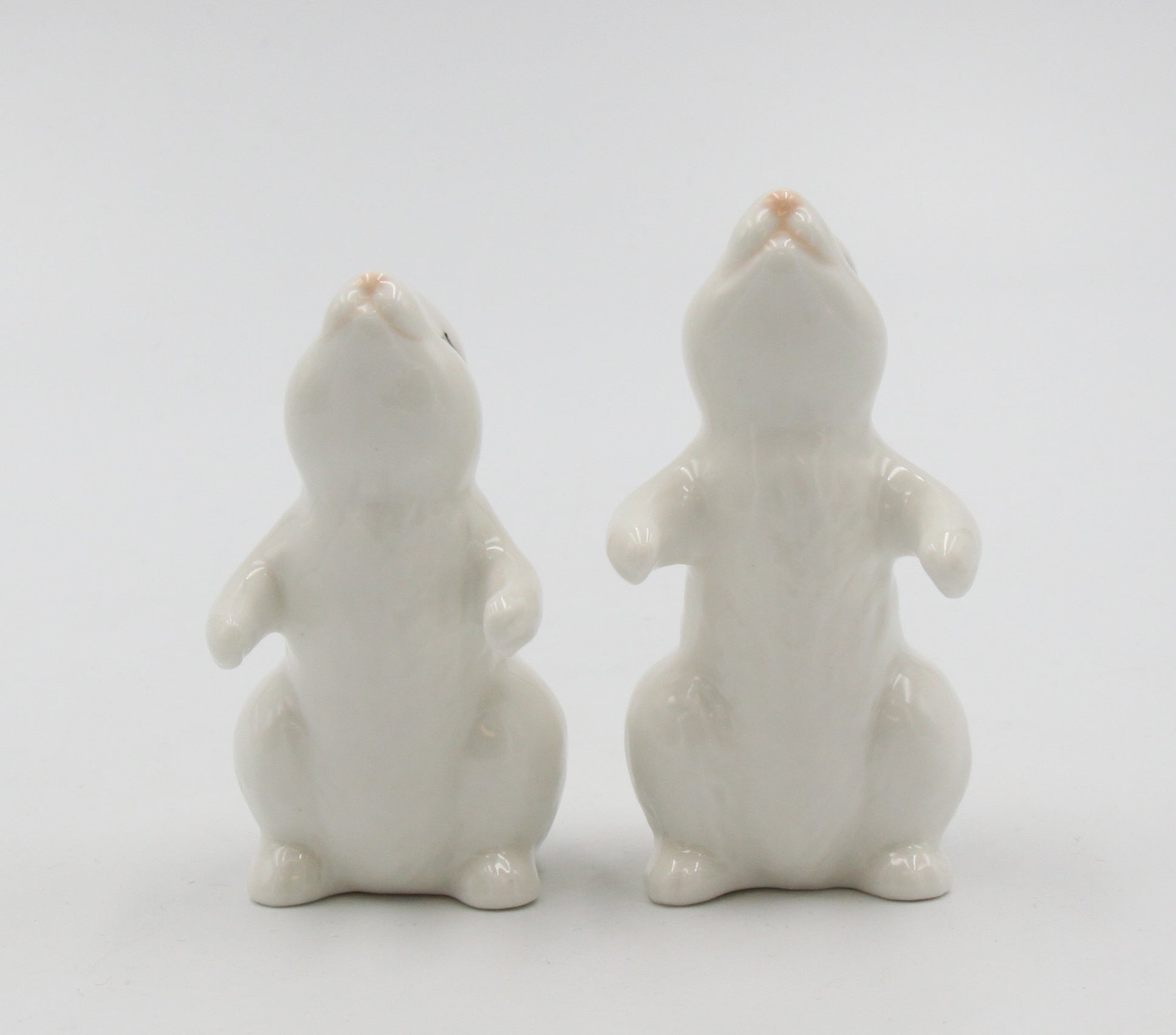 Ceramic Easter Bunny Rabbit Couple Salt and Pepper Shakers Home Décor Gift for Her Gift for Mom Kitchen Décor Spring