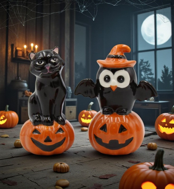 Ceramic Halloween Decor Black Owl And Black Cat On Pumpkin Salt And Pepper Home Décor Gift for Her Mom Kitchen Décor