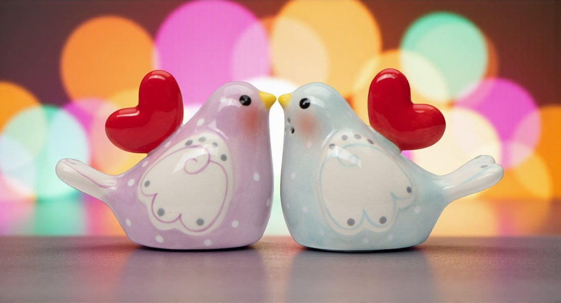 Ceramic Lovebirds with Heart Salt and Pepper Shakers Romantic Kitchenware Valentines Day Tableware Decor Wedding Gift