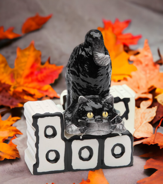 Ceramic Magnetic Halloween Cat & Boo Salt & Pepper Home Décor Gift for Her Gift for Mom Kitchen Décor Fall Décor