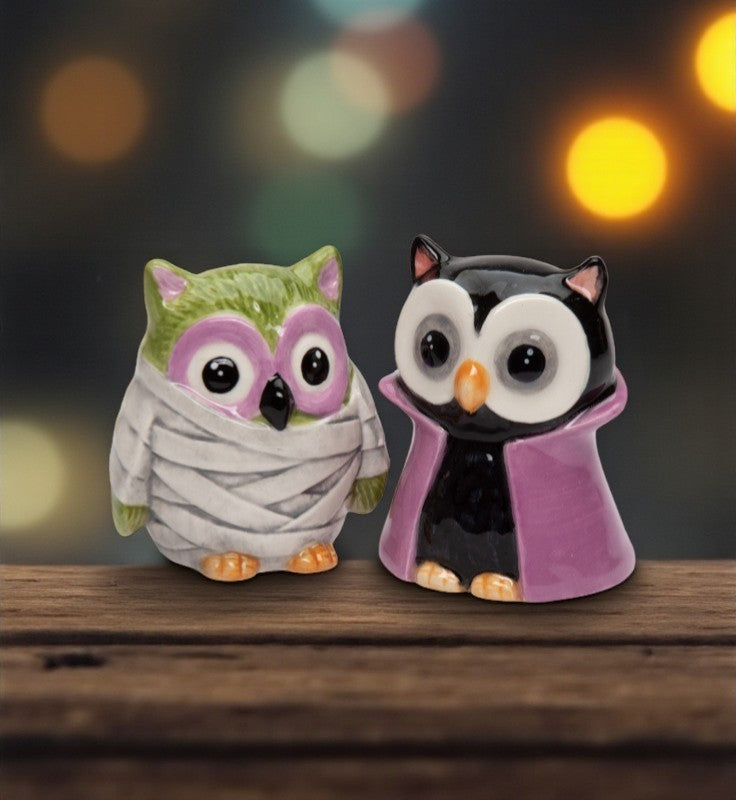 Ceramic Owl Dracula And Mummy Salt And Pepper Shakers Home Décor Gift for Her Gift for Mom Kitchen Décor Fall Décor