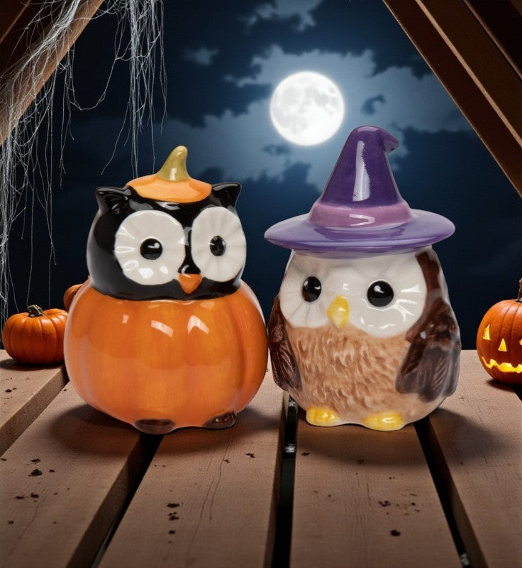 Ceramic Witch Owl And Pumpkin Owl Salt And Pepper Shakers Gift for Her Gift for Mom Kitchen Décor Fall Décor Halloween