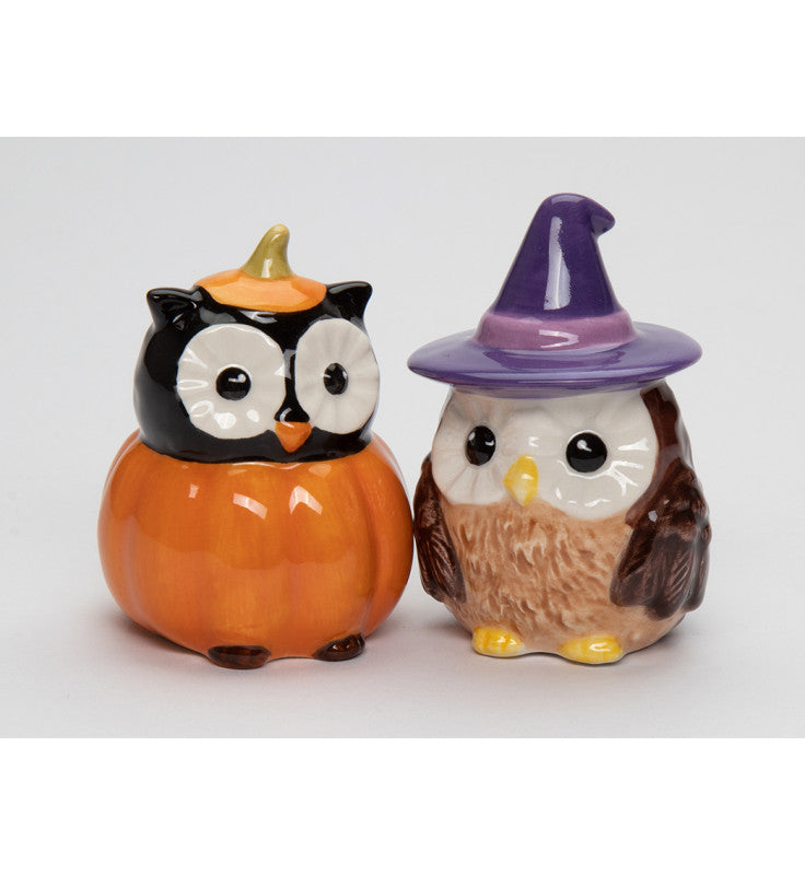 Ceramic Witch Owl And Pumpkin Owl Salt And Pepper Shakers Gift for Her Gift for Mom Kitchen Décor Fall Décor Halloween