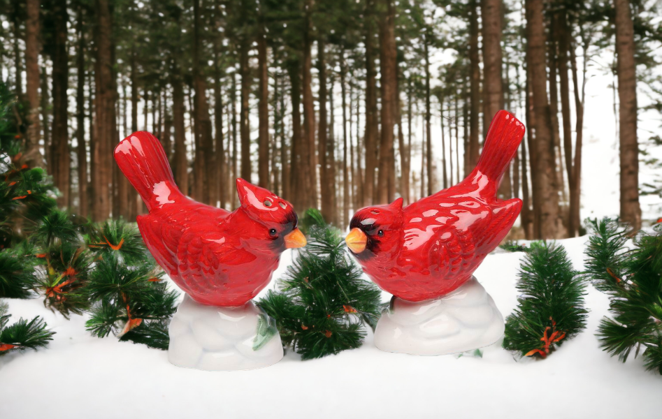Hand Painted Ceramic Cardinal Bird Salt & Pepper Shakers Home Décor Gift for Her Gift for Mom Kitchen Décor Birdwatcher