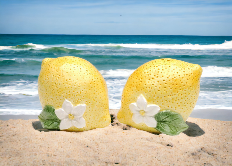 Hand Painted Ceramic Lemon Salt & Pepper Shakers Home Décor Gift for Her Gift for Mom Kitchen Décor Summer Decor - Salt