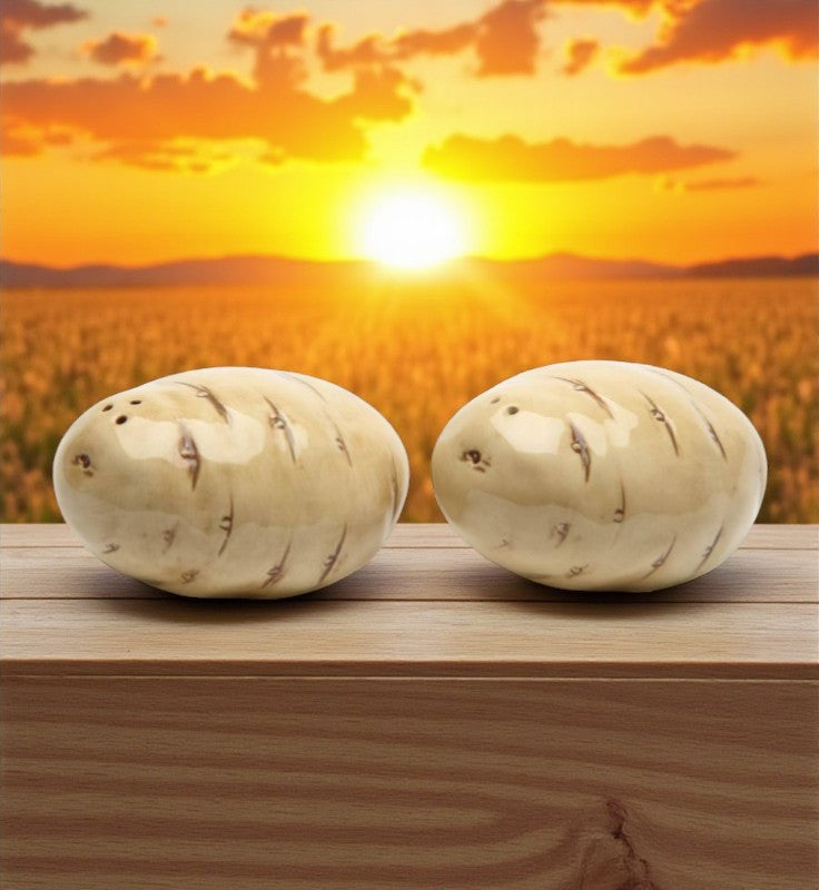 Hand Painted Ceramic Potato Salt & Pepper Shakers Home Décor Gift for Her Gift for Mom Kitchen Décor Farmhouse Décor