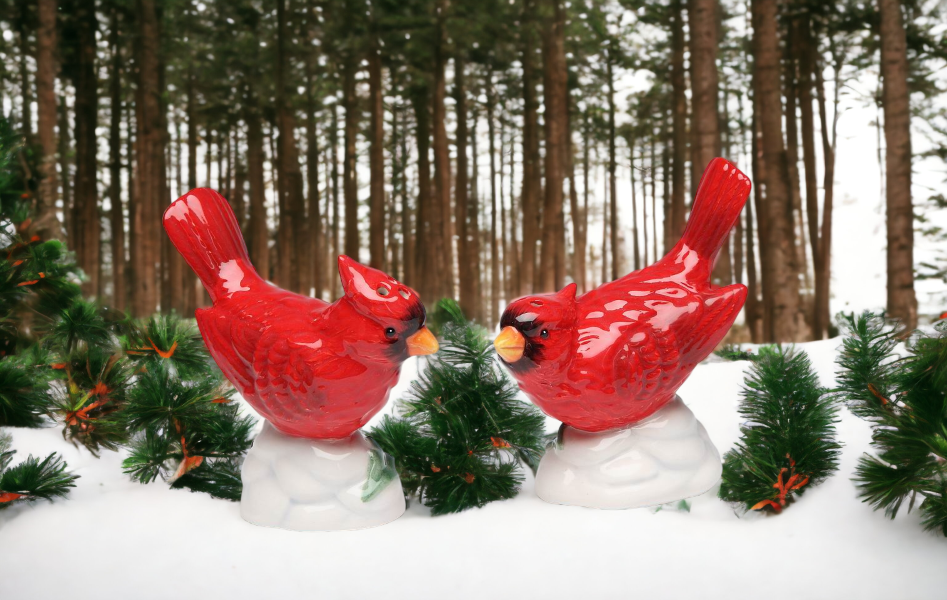 Hand Painted Ceramic Cardinal Bird Salt & Pepper Shakers, Home Décor, Gift for Her, Gift for Mom, Kitchen Décor, Birdwatcher Gift