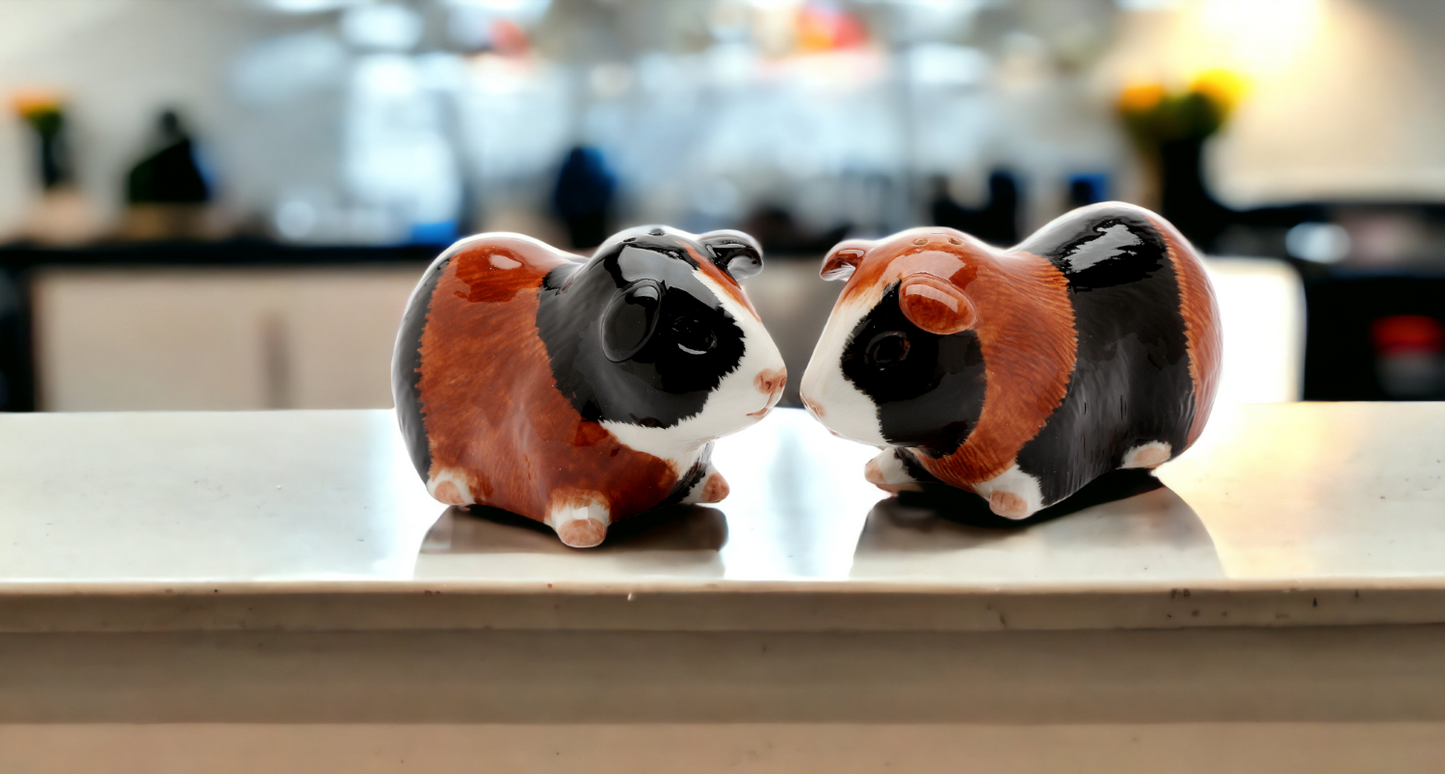 Hand Painted Ceramic Guinea Pig Salt & Pepper Shakers, Home Décor, Gift for Her, Gift for Mom, Kitchen Décor