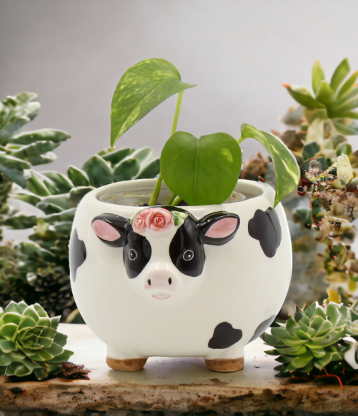 Ceramic Cow with Rose Flower Candy Bowl or Indoor Planter, Home Décor, Gift for Her, Gift for Mom, Kitchen Décor, Farmhouse Decor