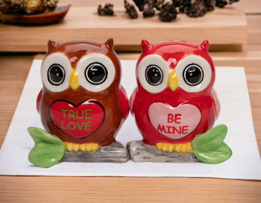 Ceramic Valentine Owl Salt And Pepper Shakers, Home Décor, Gift for Her, Gift for Mom, Kitchen Décor, Valentine’s Day Décor, Romantic Décor