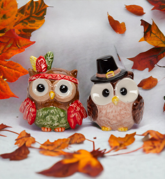 Ceramic Pilgrim And Indian Owl Salt And Pepper Shakers, Gift for Her, Gift for Mom, Kitchen Décor, Fall Décor, Thanksgiving Décor