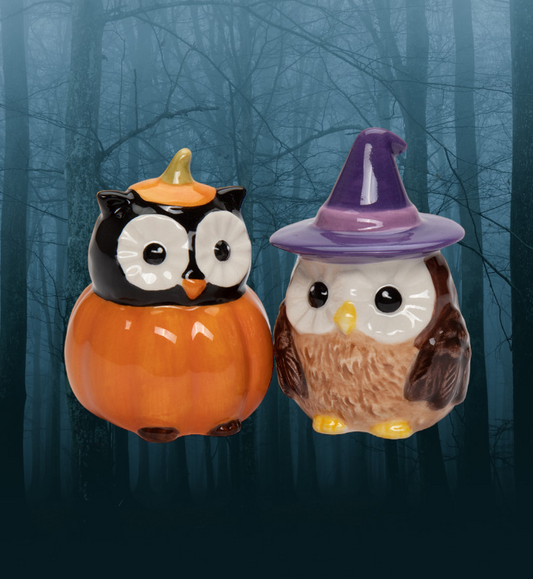 Ceramic Witch Owl And Pumpkin Owl Salt And Pepper Shakers, Gift for Her, Gift for Mom, Kitchen Décor, Fall Décor, Halloween Décor