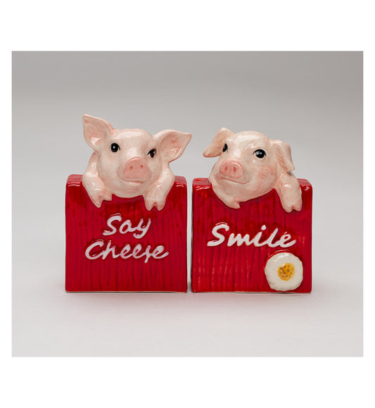 Ceramic Country Pigs Salt and Pepper Shakers