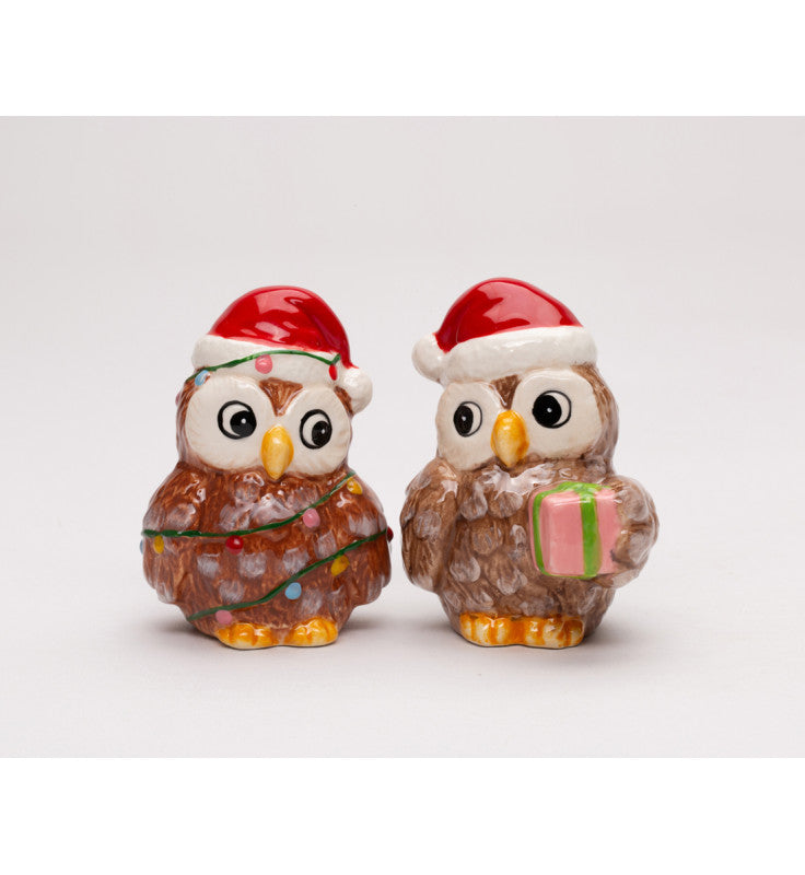 Ceramic Christmas Owls Salt and Pepper Shakers, Christmas Table Decor, Owl Collection