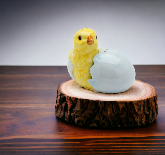 Ceramic Baby Chicken Hatching from Egg Salt & Pepper Shakers Home Décor Gift for Her Gift for Mom Kitchen Décor