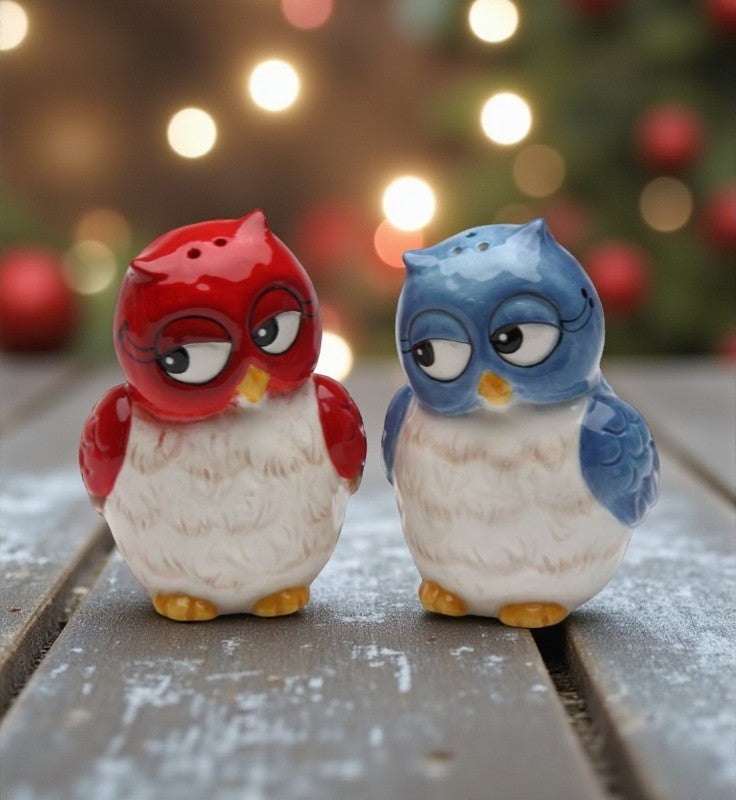 Ceramic Blue and Red Owl Salt and Pepper Shakers Home Décor Gift for Her Gift for Mom Kitchen Décor Birdwatcher Gift