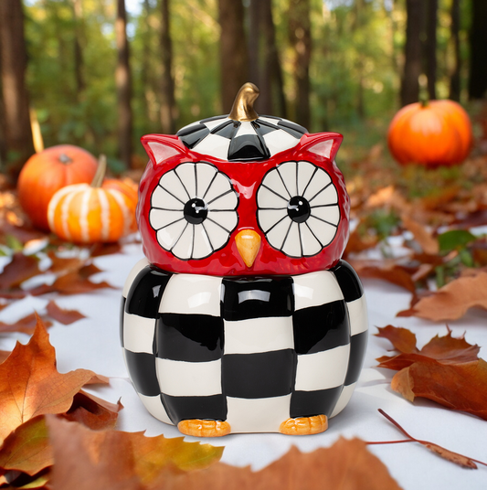 Ceramic Checkerboard Owl Candy Jar Kitchen Decor Fall Decor Gift for Her Gift for Mom - candy box