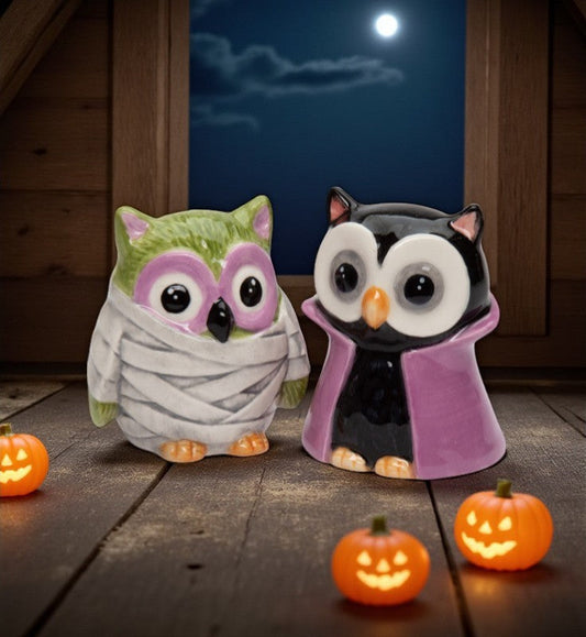 Ceramic Owl Dracula And Mummy Salt And Pepper Shakers Home Décor Gift for Her Gift for Mom Kitchen Décor Fall Décor