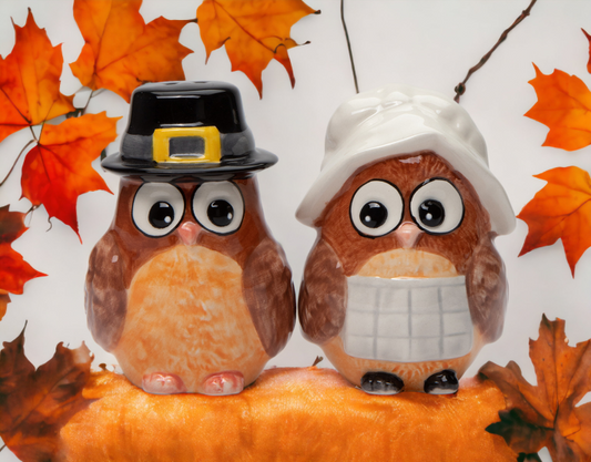 Ceramic Pilgrim Owl Salt And Pepper Shakers Home Décor Gift for Her Gift for Mom Kitchen Décor Fall Décor Thanksgiving