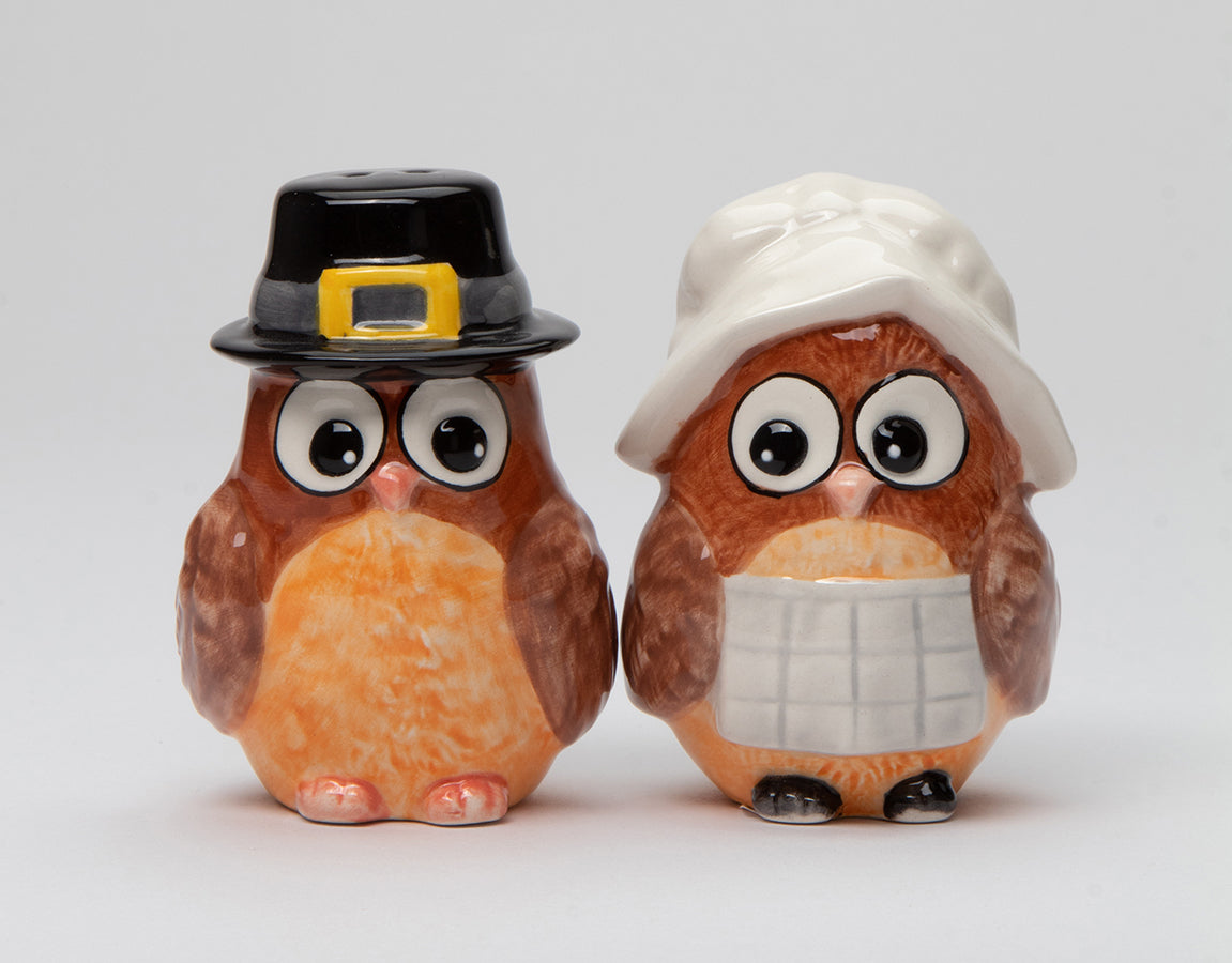 Ceramic Pilgrim Owl Salt And Pepper Shakers Home Décor Gift for Her Gift for Mom Kitchen Décor Fall Décor Thanksgiving