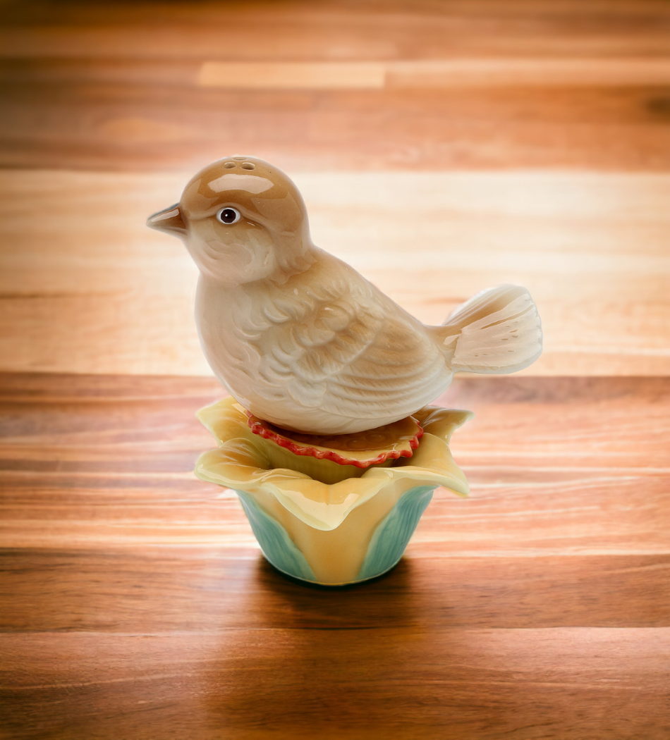 Ceramic Robin Bird Magnetic Salt & Pepper Shakers Home Décor Gift for Her Gift for Mom Kitchen Décor Birdwatcher Gift