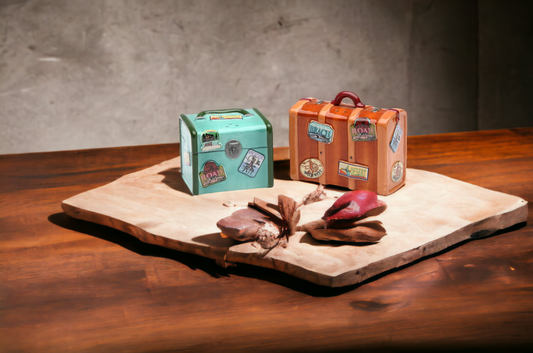 Ceramic Suitcase Luggage Salt & Pepper Shakers Home Décor Gift for World Traveler Gift for Her Gift for Mom Kitchen