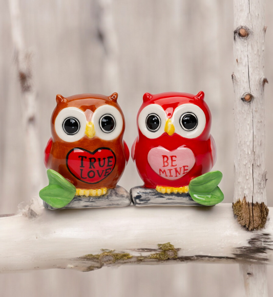 Ceramic Valentine Owl Salt And Pepper Shakers Home Décor Gift for Her Gift for Mom Kitchen Décor Valentine’s Day Décor