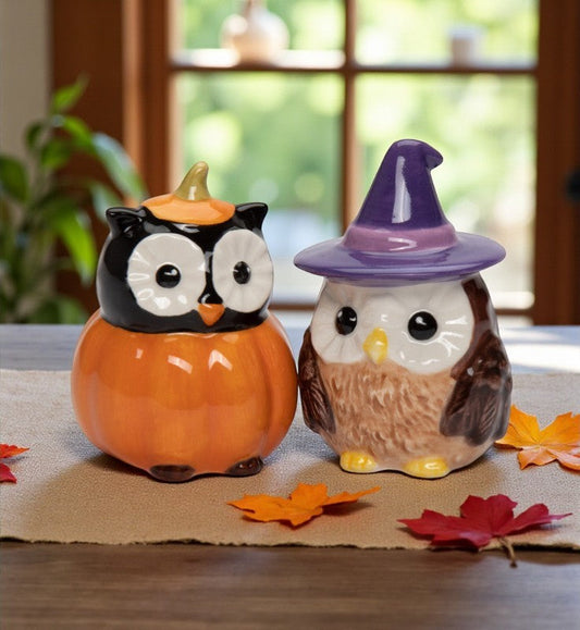 Ceramic Witch Owl And Pumpkin Owl Salt And Pepper Shakers Gift for Her Gift for Mom Kitchen Décor Fall Décor Halloween