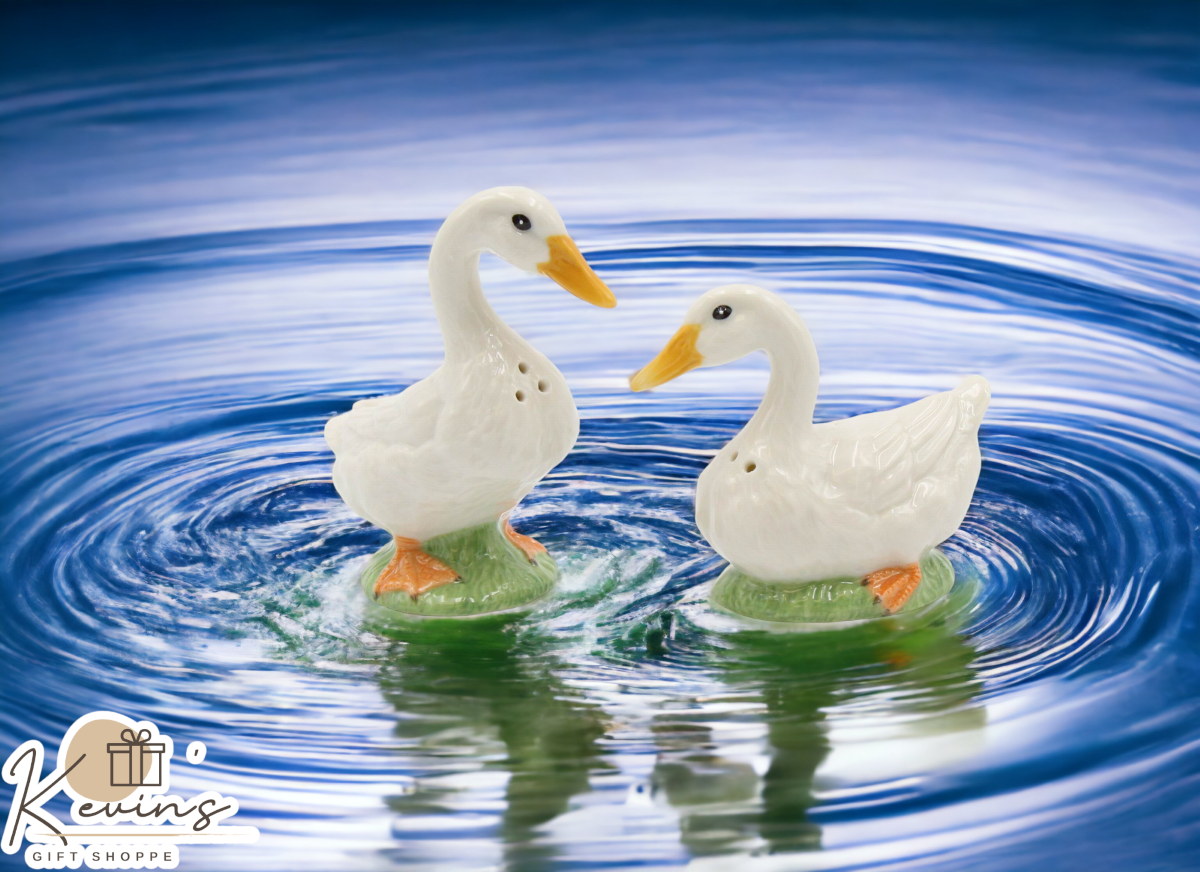 Hand Painted Ceramic Duck Salt And Pepper Shakers Home Décor Gift for Her Gift for Mom Kitchen Décor Farmhouse Décor