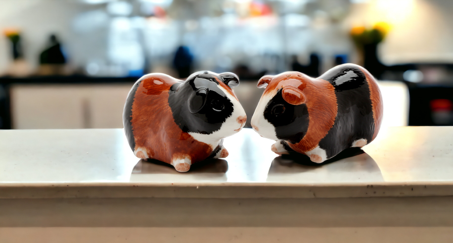 Hand Painted Ceramic Guinea Pig Salt & Pepper Shakers Home Décor Gift for Her Gift for Mom Kitchen Décor - Salt &