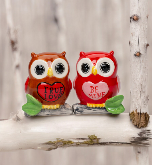 Ceramic Valentine Owl Salt And Pepper Shakers, Home Décor, Gift for Her, Gift for Mom, Kitchen Décor, Valentine’s Day Décor, Romantic Décor