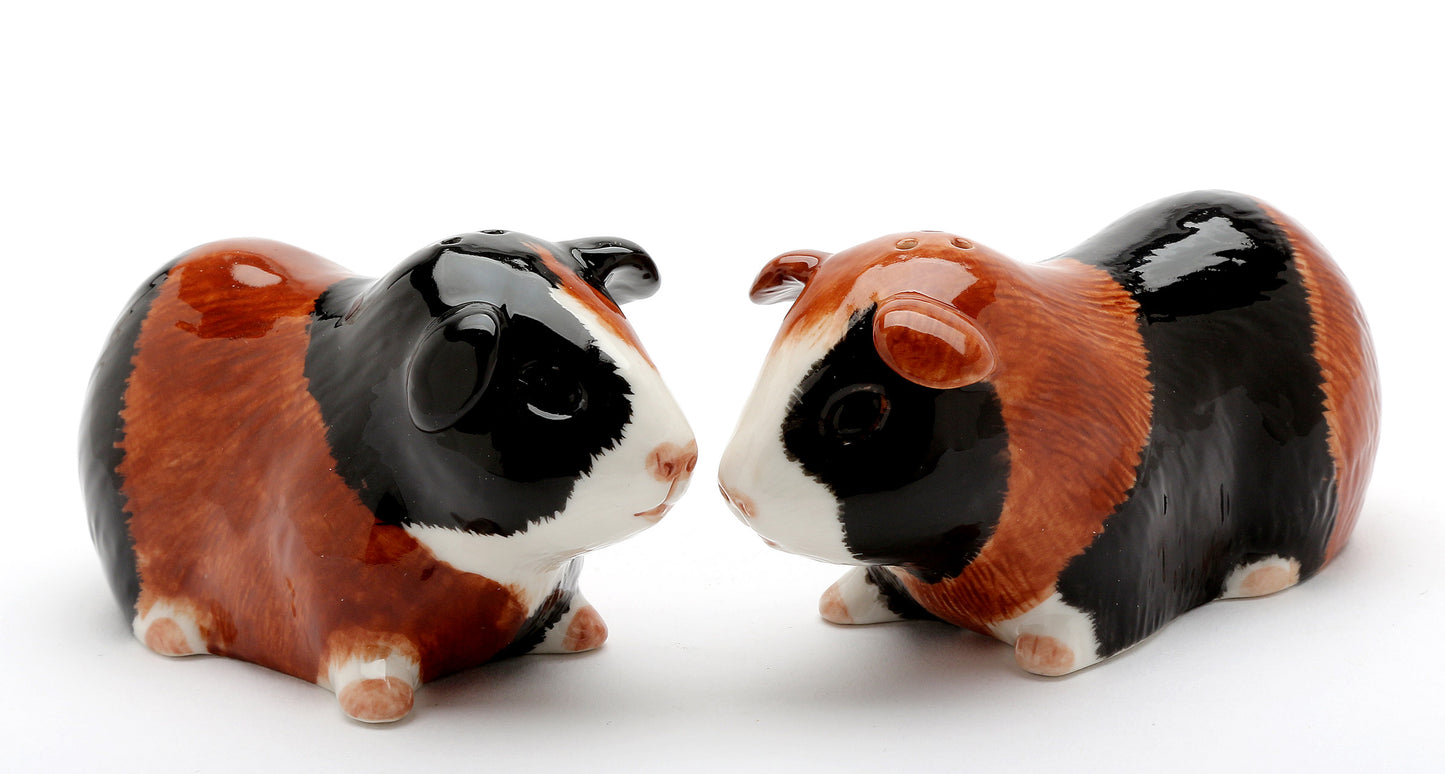 Guinea Pig Salt & Pepper - kevinsgiftshoppe