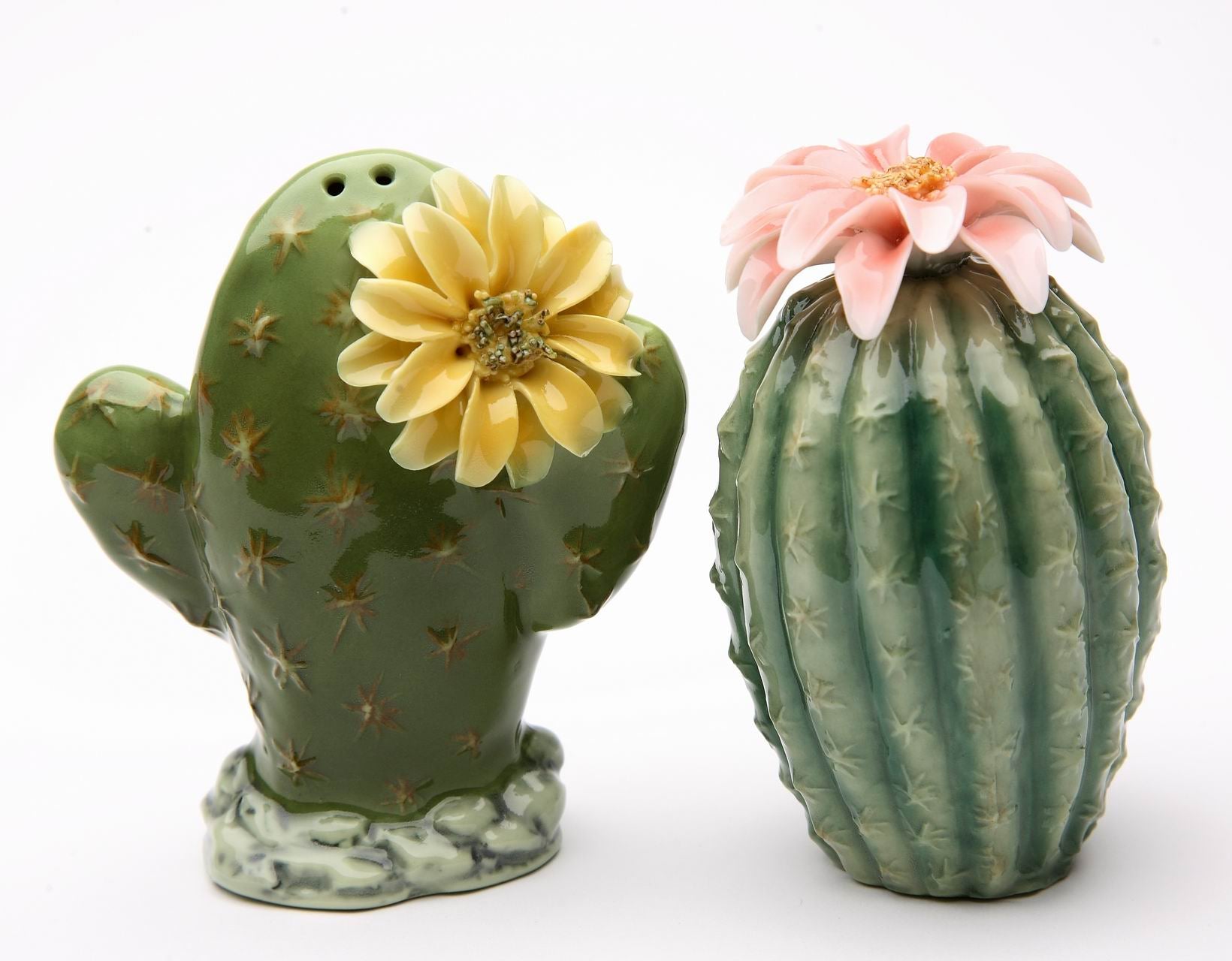 Hand Crafted Ceramic Cactus with Flowers Salt & Pepper Shakers