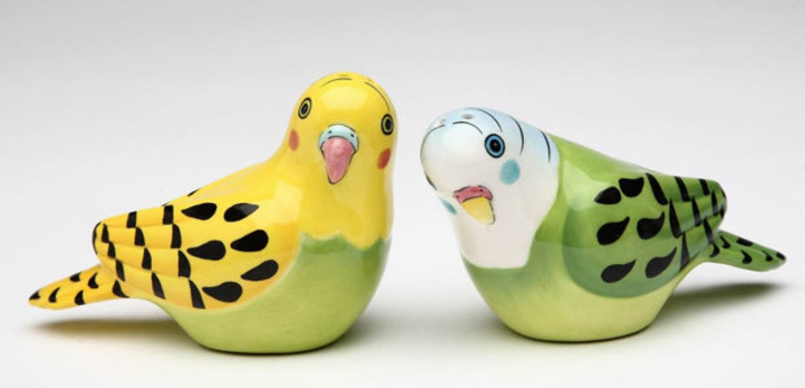 Yellow And Green Parakeet Salt & Pepper - kevinsgiftshoppe